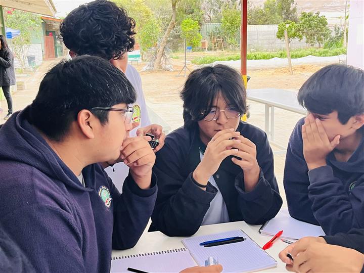 Estudiantes trabajando en el huerto del liceo